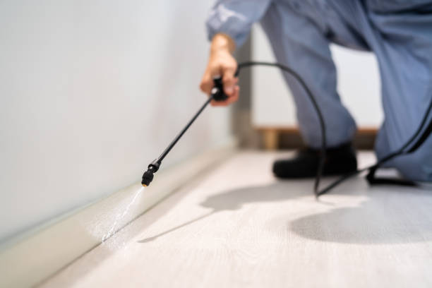 Licensed Cockroach Control service in Lexington, VA - Nex Pest Control