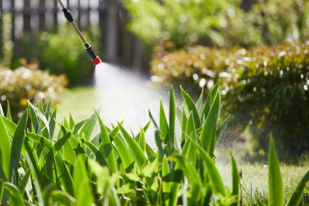 24/7 Emergency Cockroach Control experts in Lexington, VA