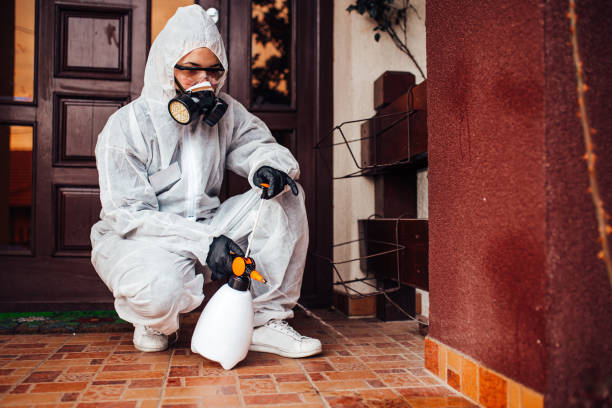 Reliable Cockroach Control contractor in Lexington, VA by Nex Pest Control