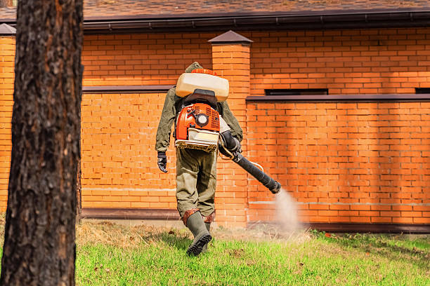 Top rated local Cockroach Control specialists in Lexington, VA